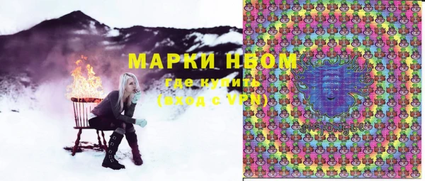 гашик Аркадак