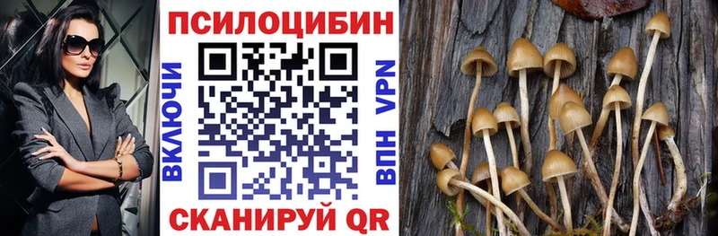 Псилоцибиновые грибы Psilocybine cubensis  Купить где  Беломорск 